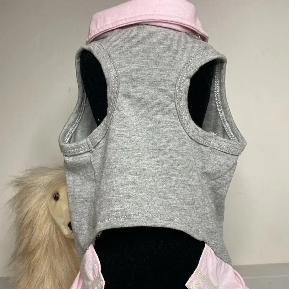 ED Cheerleading Squad Doggy Dress